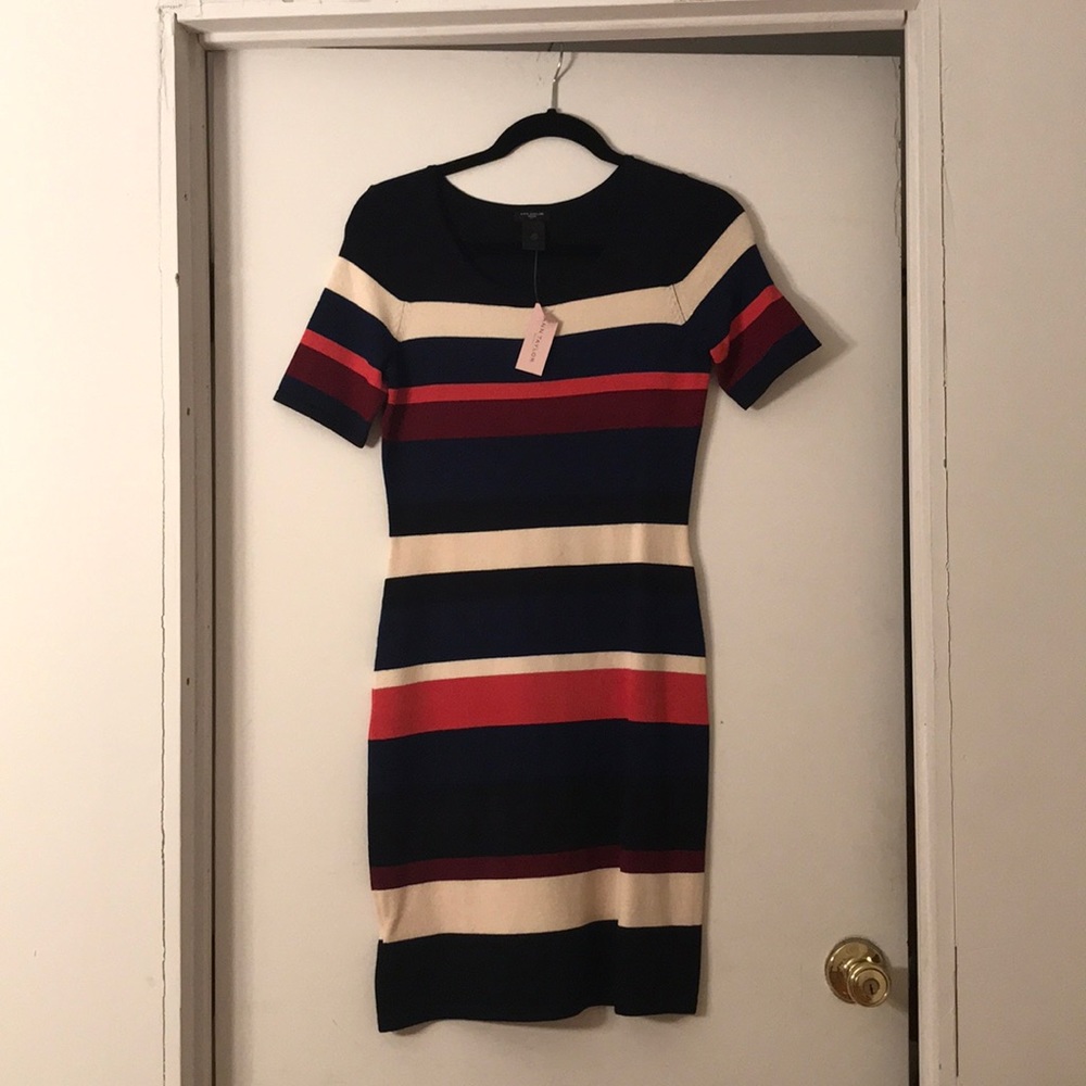 NWT Anne Taylor Petite Dress